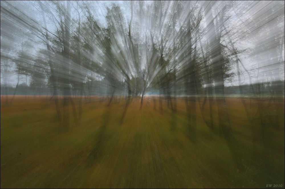 acomp wittmoor 0050