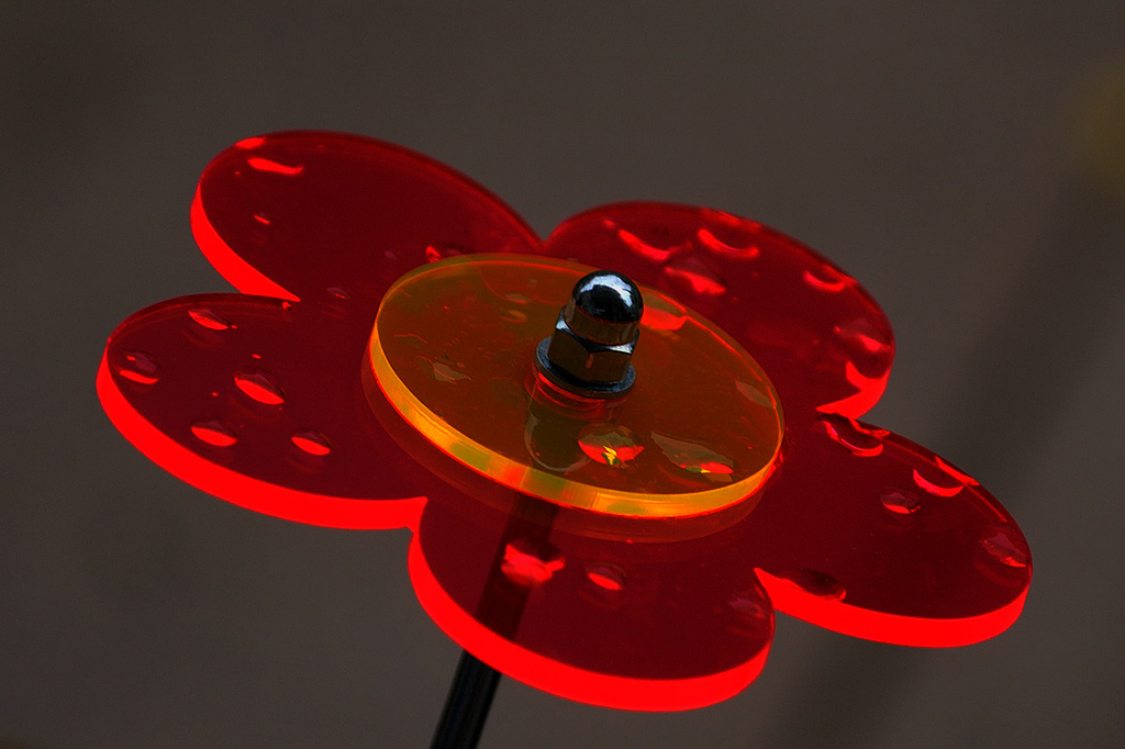 Acryl Blume