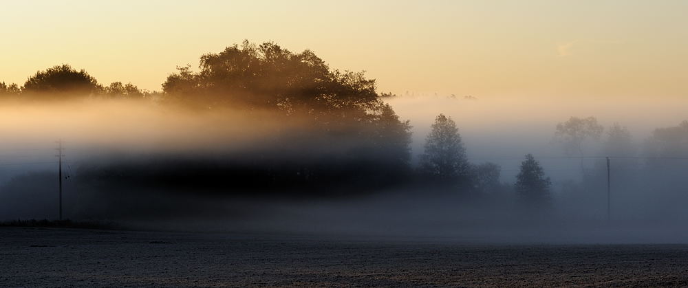 Addasnäs morgondimma 1 NFF