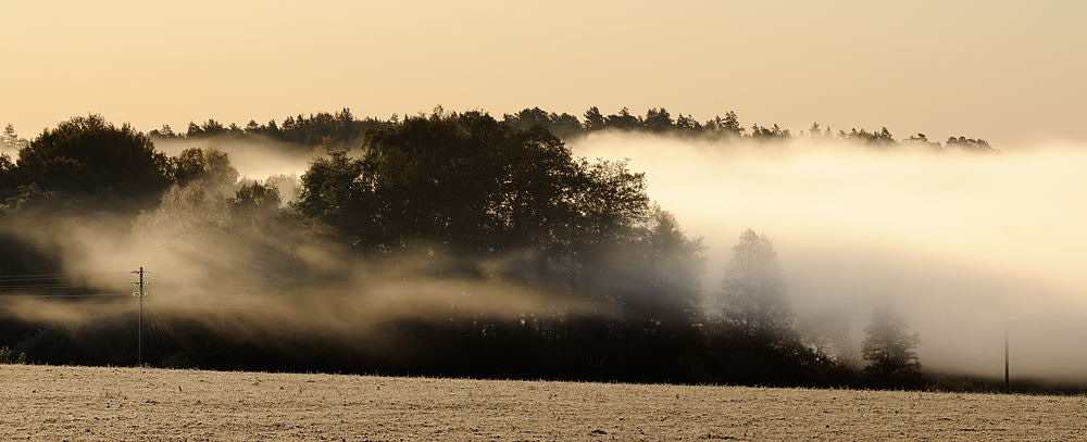 Addasnäs morgondimma 2 NFF