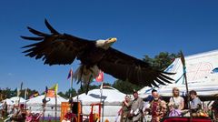 adler im flug 988e52c7 9d19 4b25 a534 044686c7e446