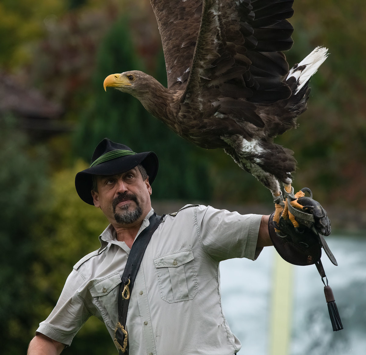 Adler Start Falkner.jpg