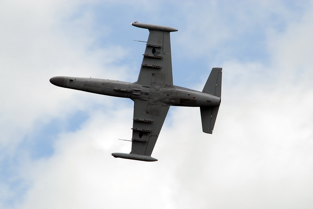 AERO L-159 ALCA 02