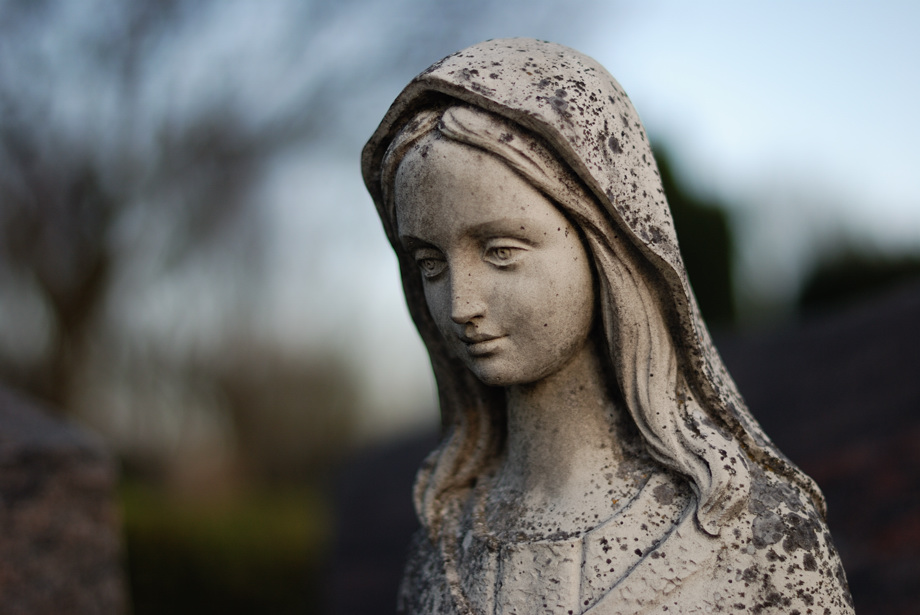 AF-S 50mm 1.4G
DSC2168