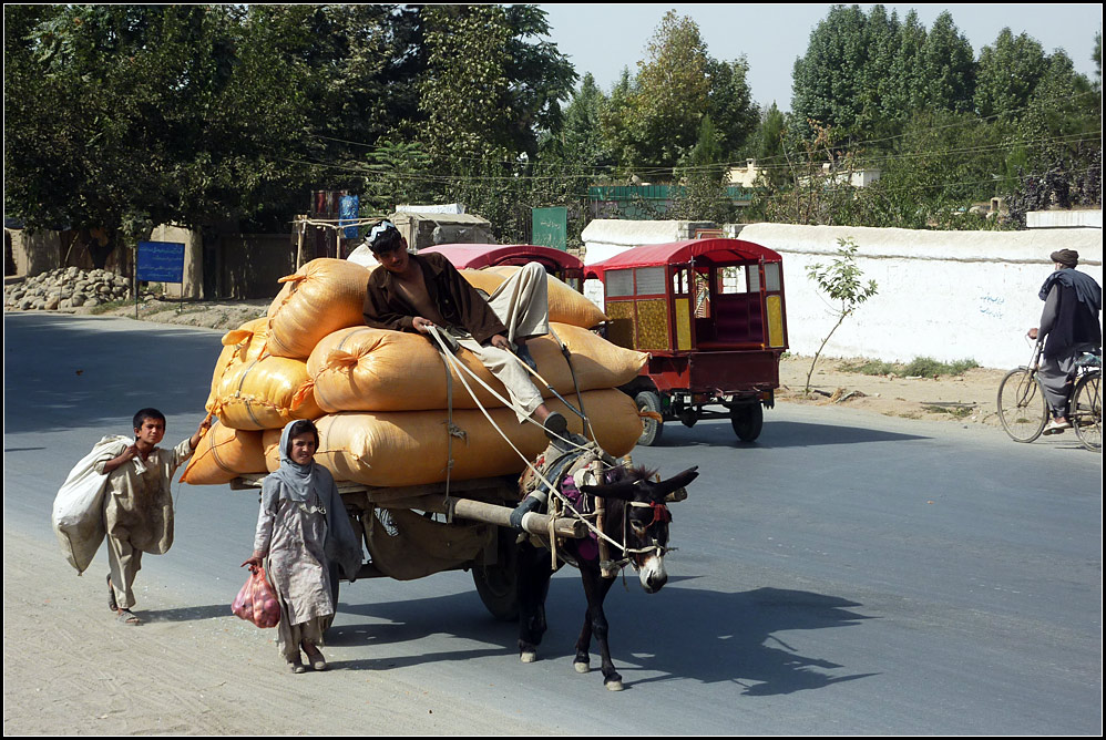 afg56