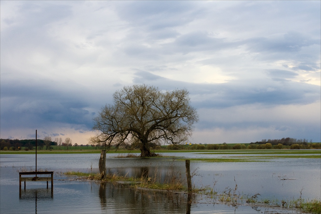 after the rain