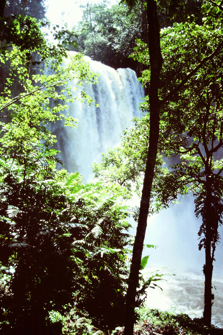 Agua Azul 1.jpg