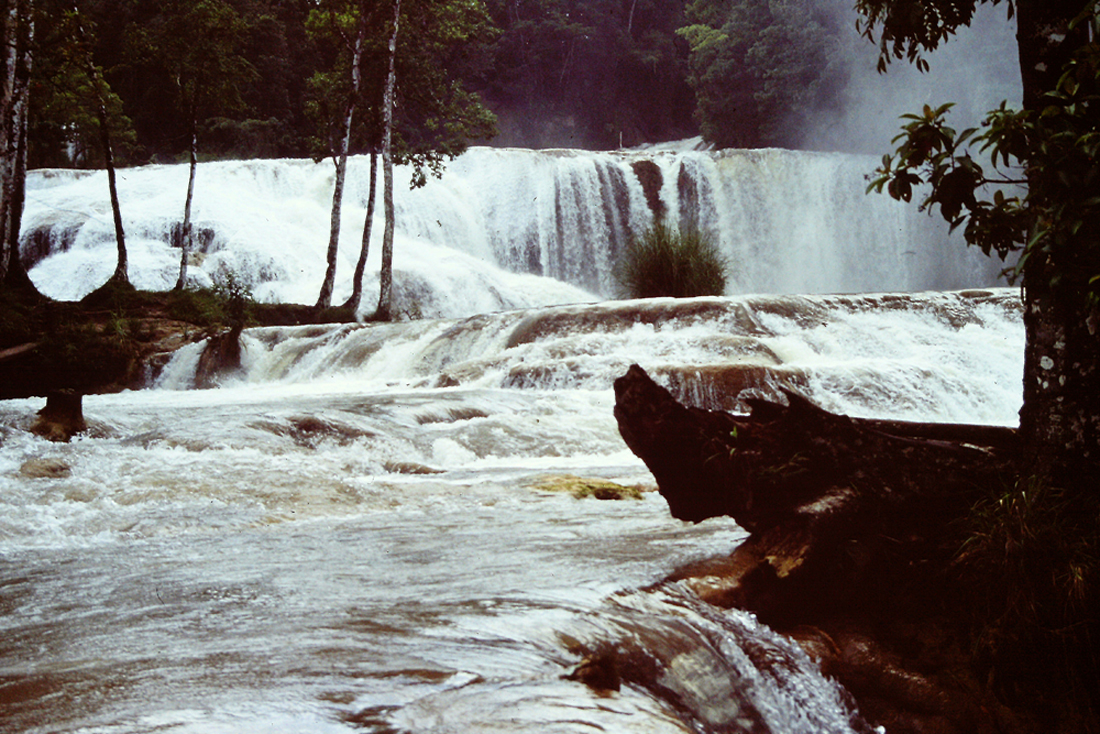 Agua Azul 6.jpg