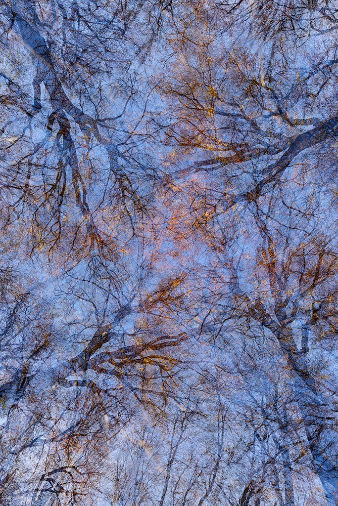 AK2014 11 25 144v