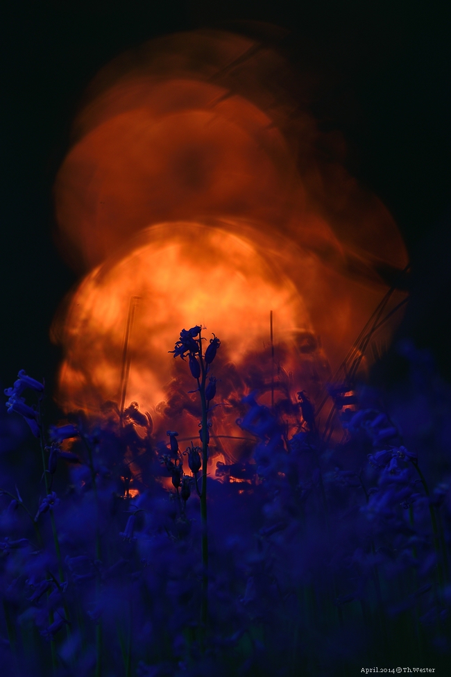Akt.blau (1)