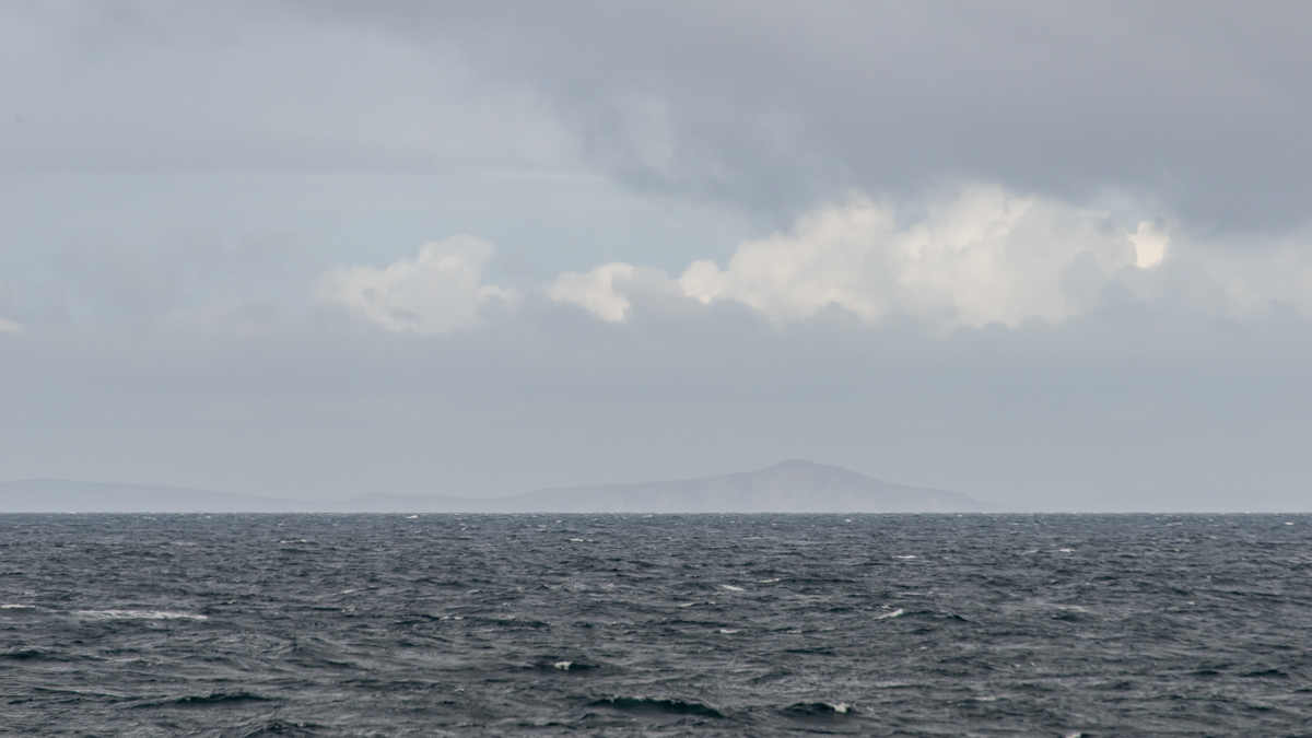 AL557-104.jpg