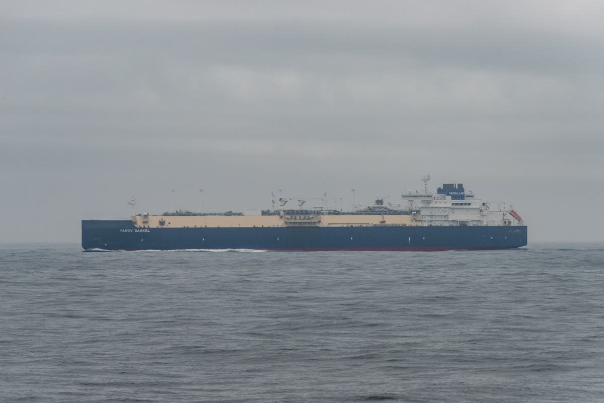 AL557 -141.jpg