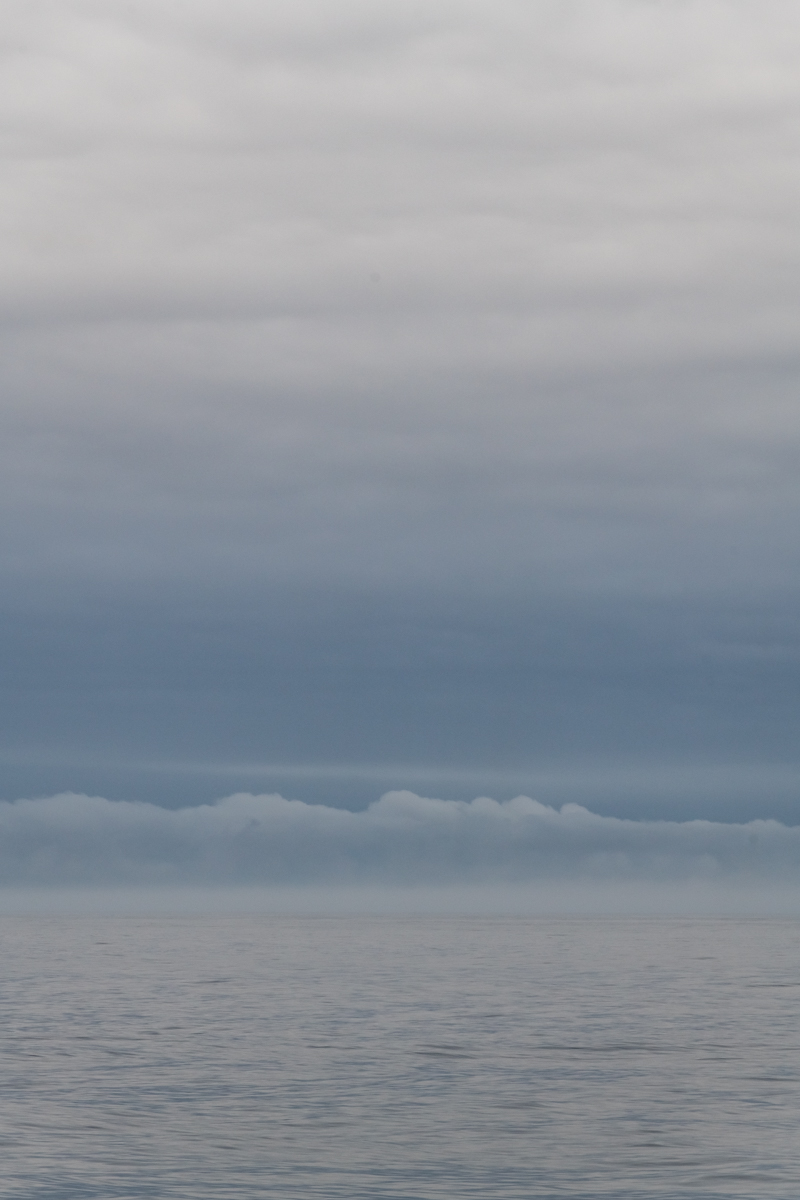 AL557 -146.jpg