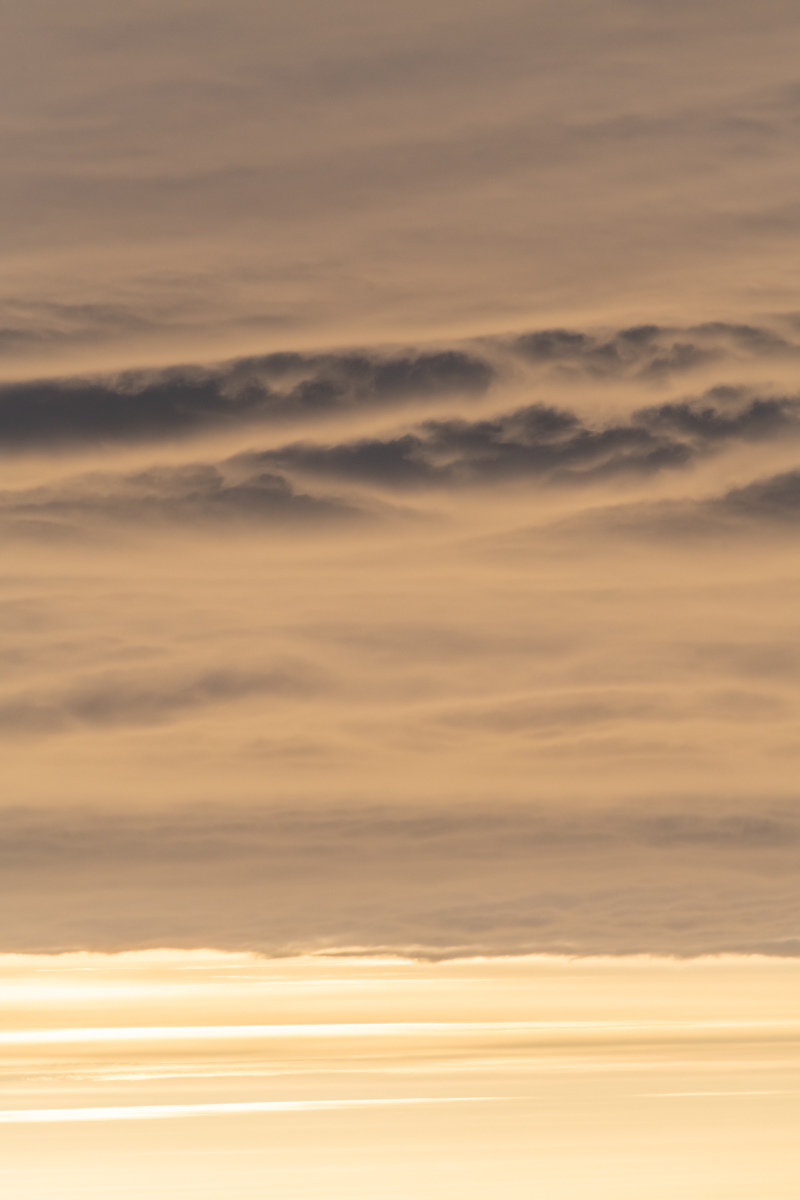 AL557 -148.jpg