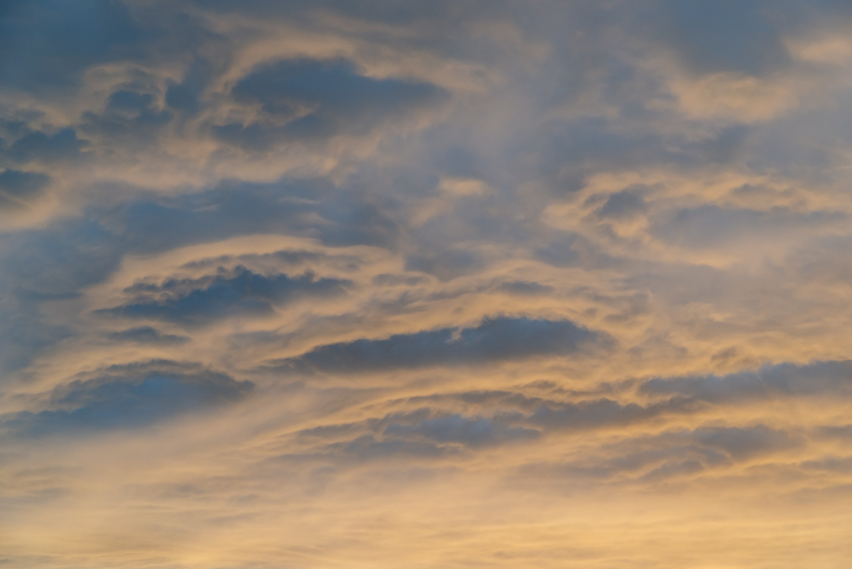 AL557 -150.jpg