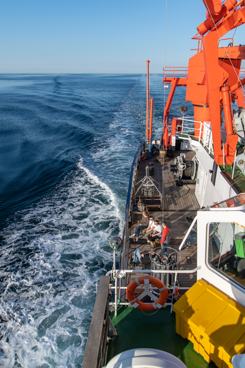 AL557-66.jpg