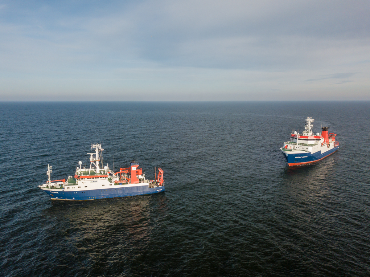 AL611 ALKOR + MSM NF-F-1.jpg