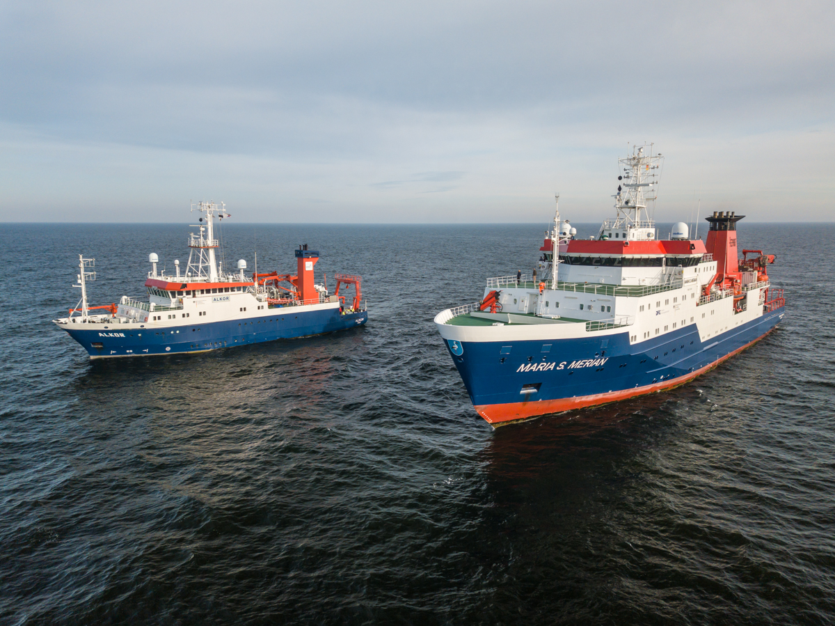 AL611 ALKOR + MSM NF-F-2.jpg