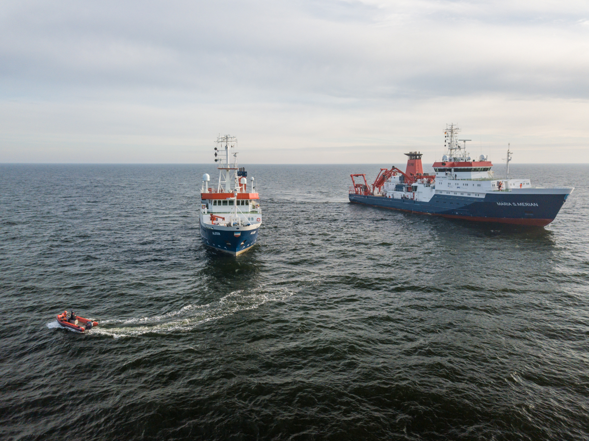 AL611 ALKOR + MSM NF-F-3.jpg