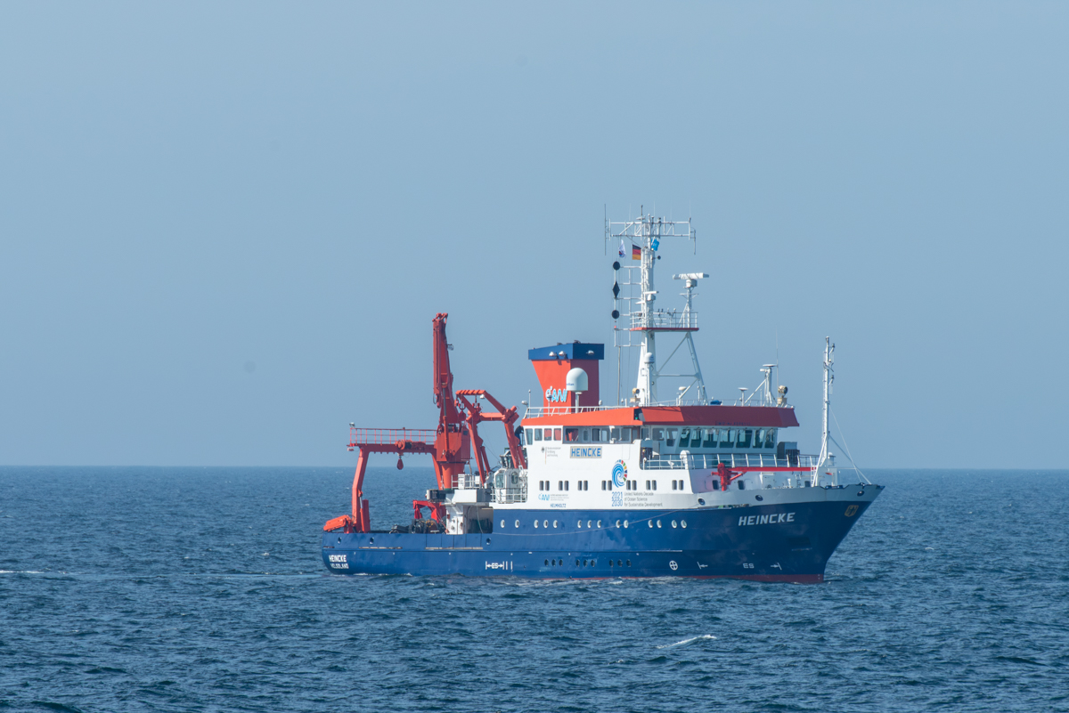 AL633 NF-F-6.jpg
