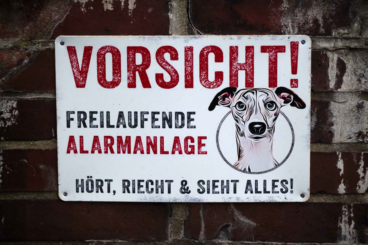 Alarmanlage.jpg