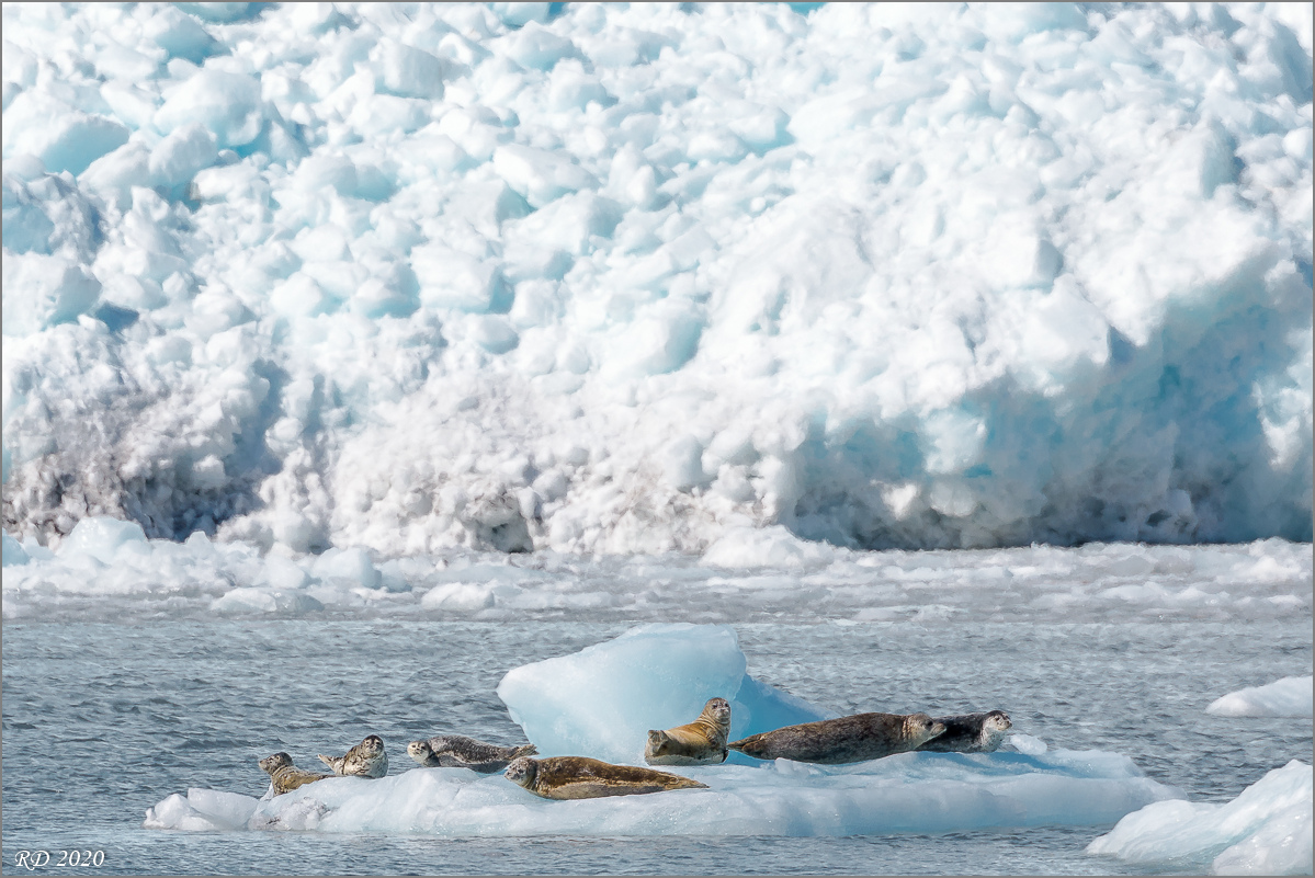 Alaska_2018-1840.jpg