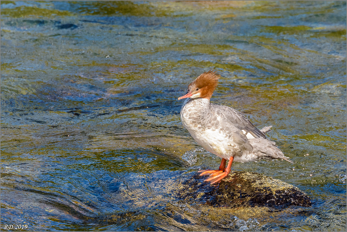 Alaska_2018-2105.jpg