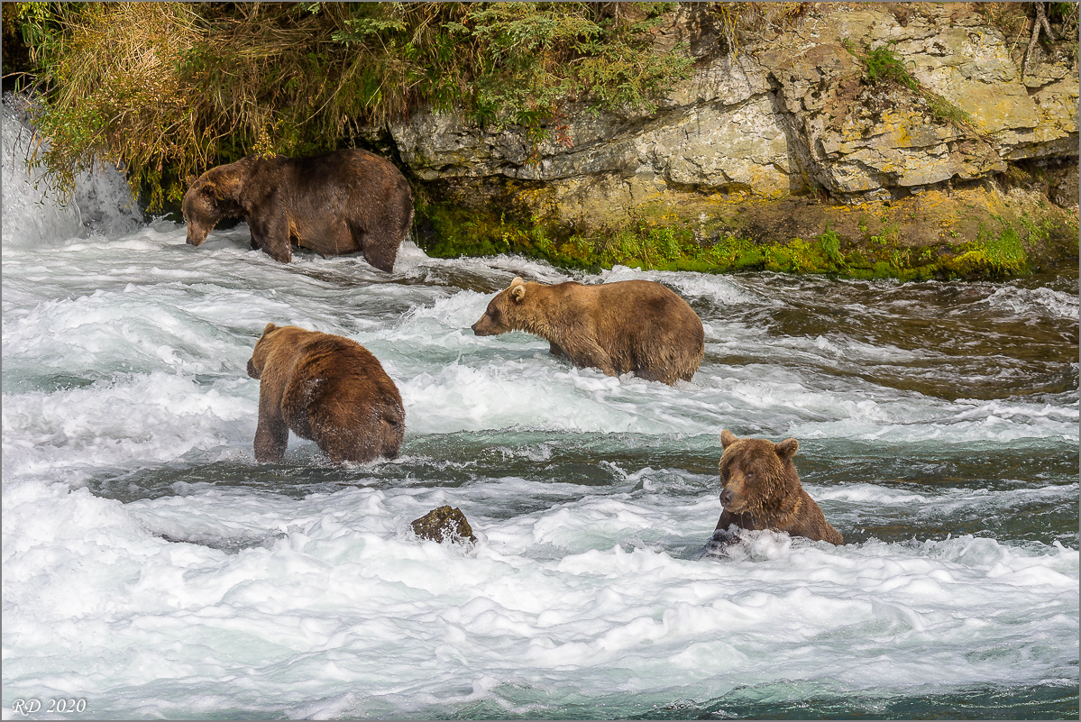 Alaska_2018-2148.jpg