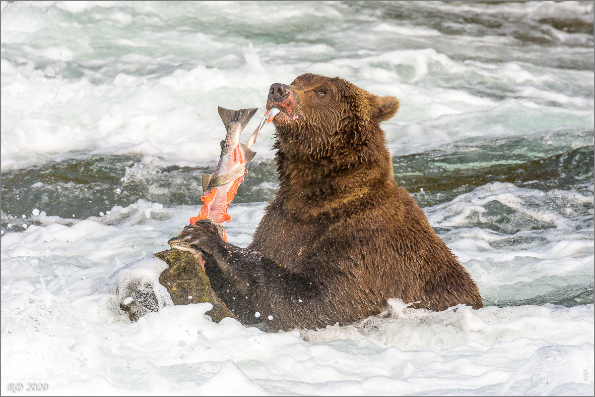 Alaska_2018-2179.jpg