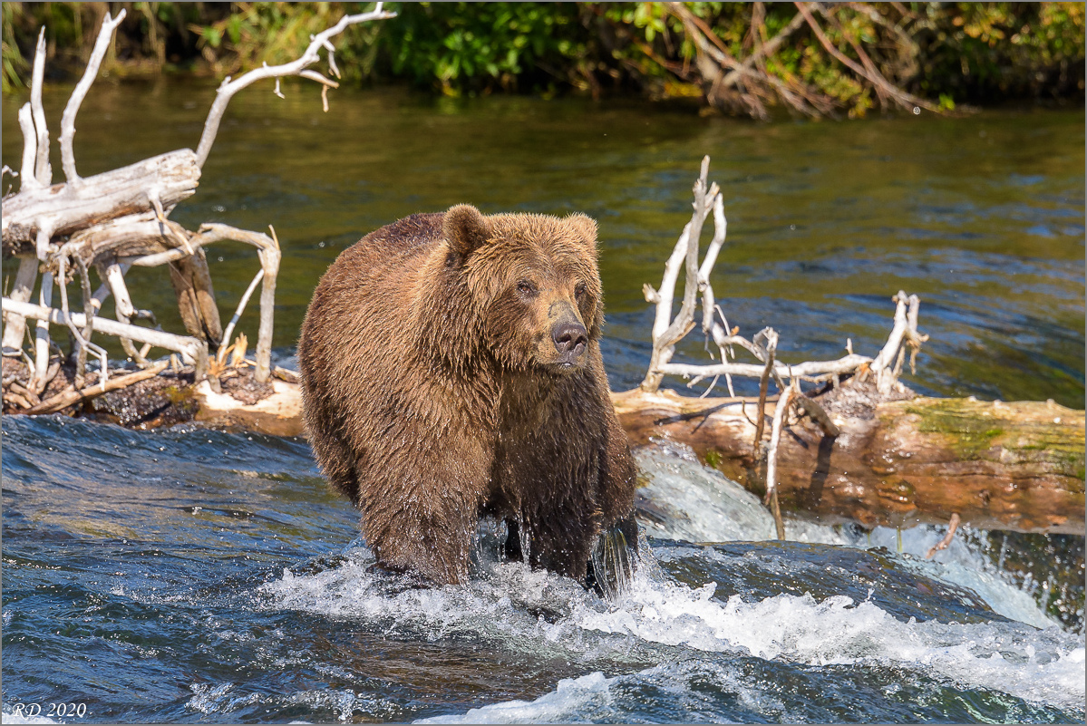 Alaska_2018-2223.jpg