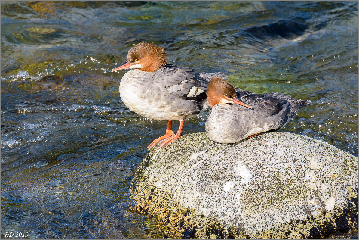 Alaska_2018-2260.jpg