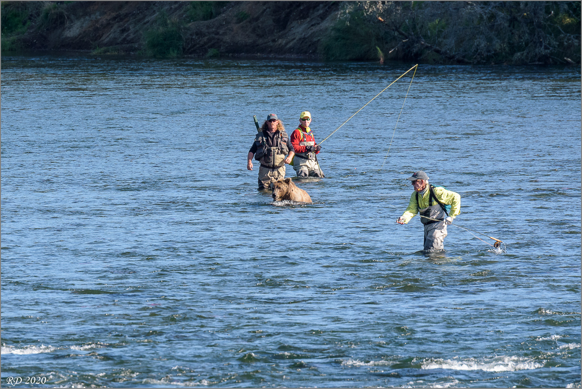 Alaska_2018-2321.jpg