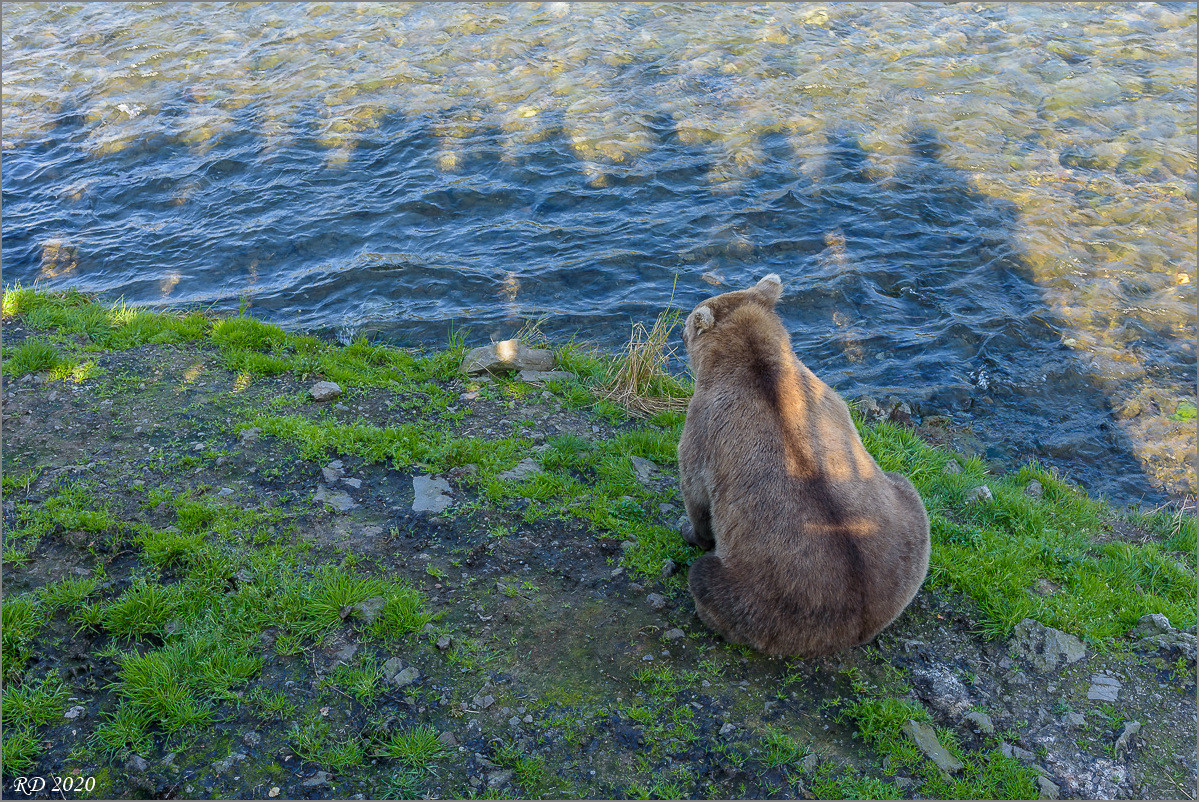 Alaska_2018-2333.jpg