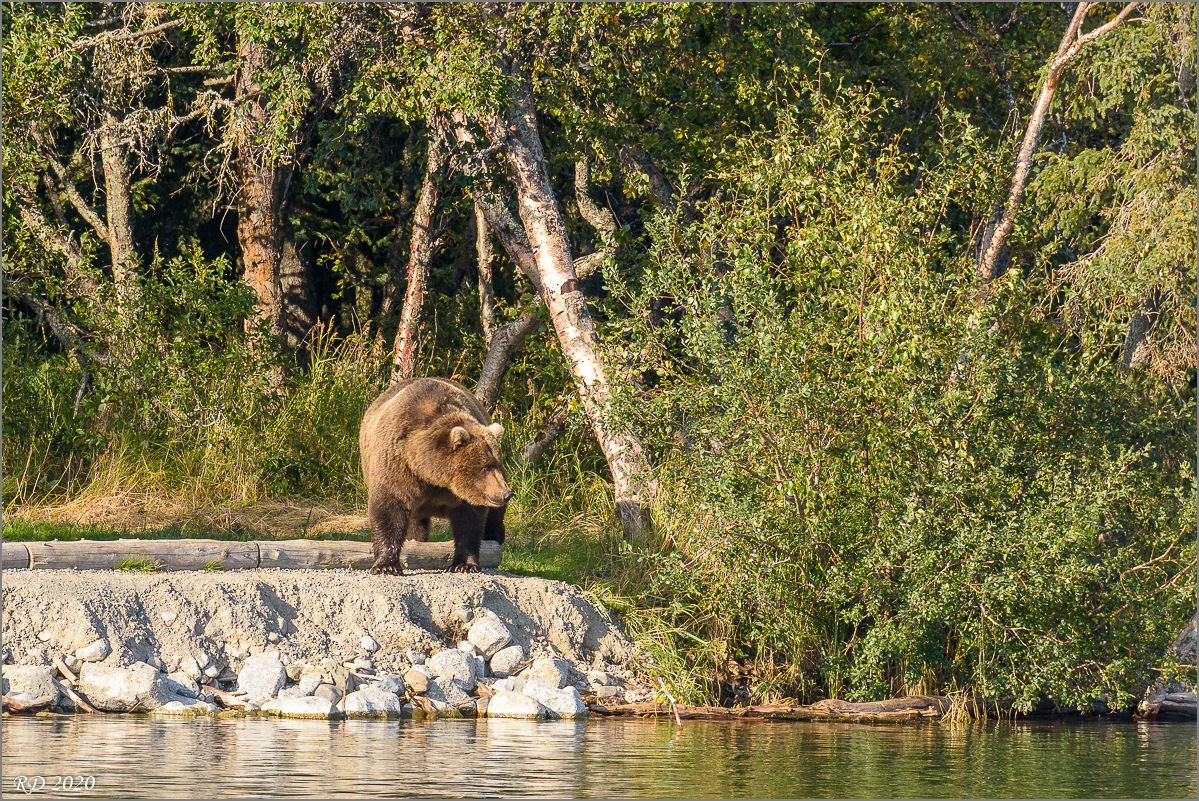 Alaska_2018-2335.jpg