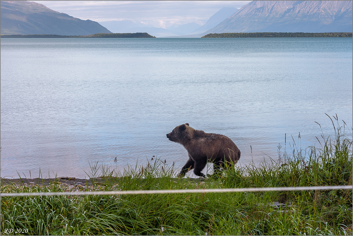 Alaska_2018-2369.jpg