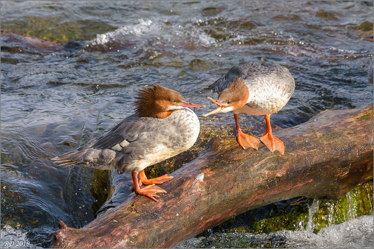 Alaska_2018-2409.jpg