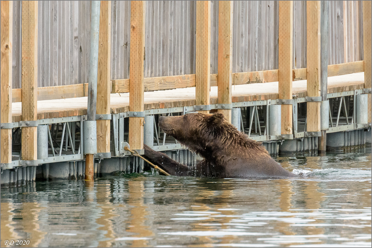 Alaska_2018-2437.jpg