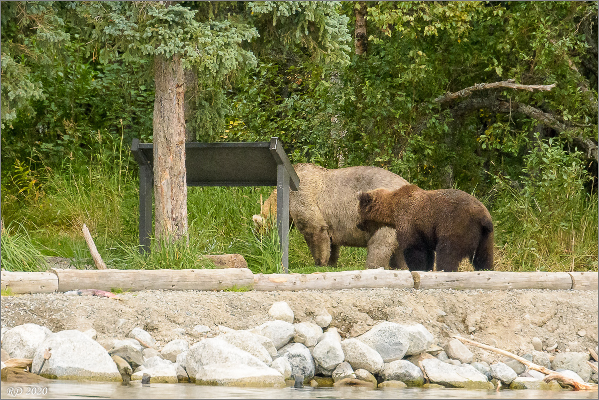 Alaska_2018-2443.jpg