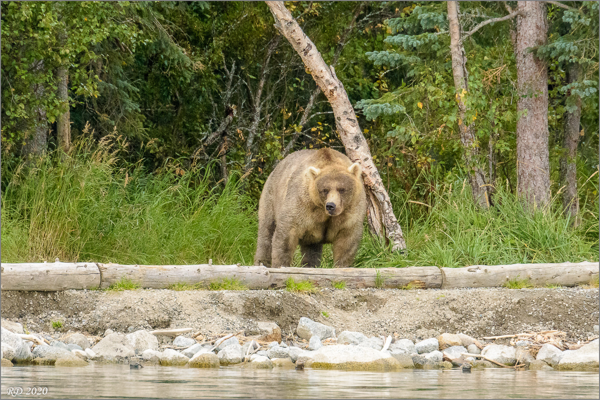 Alaska_2018-2446.jpg