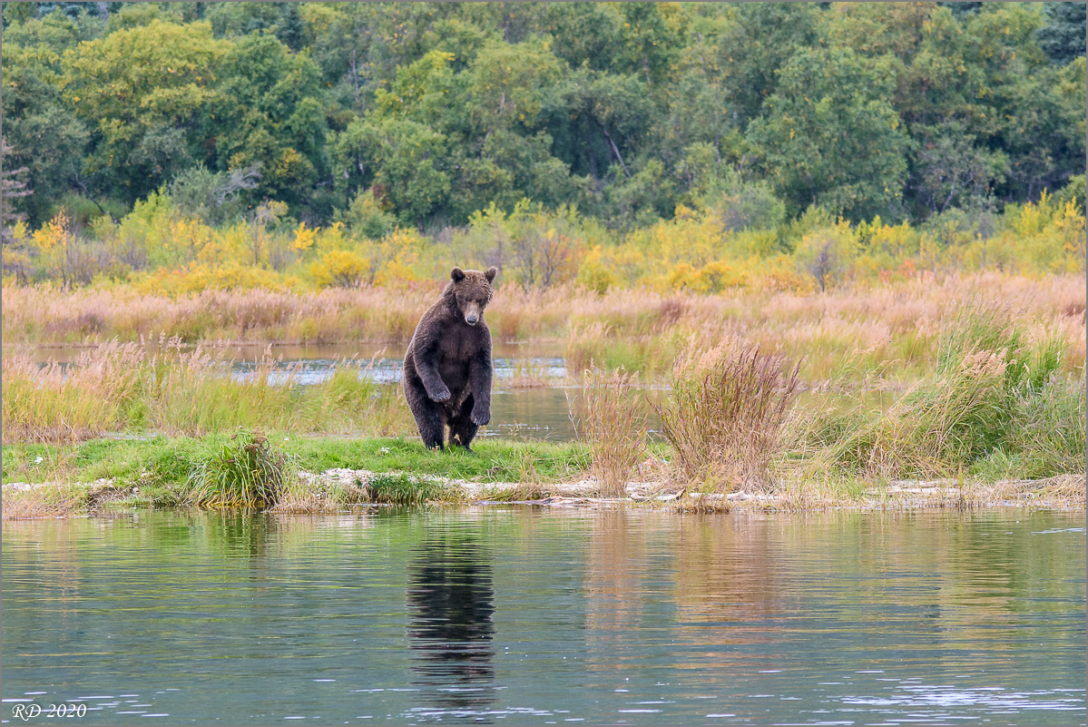 Alaska_2018-2489.jpg