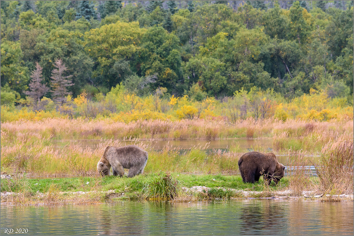 Alaska_2018-2518.jpg