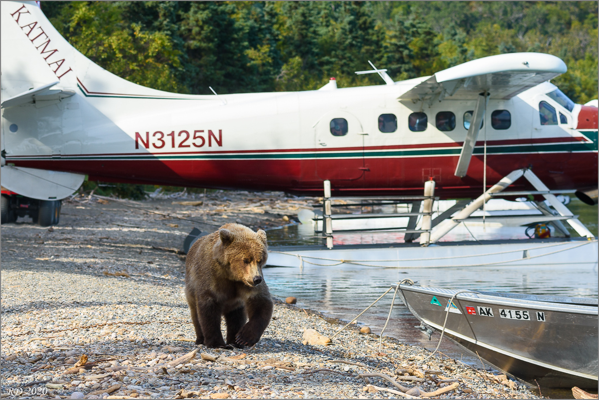 Alaska_2018-2560.jpg