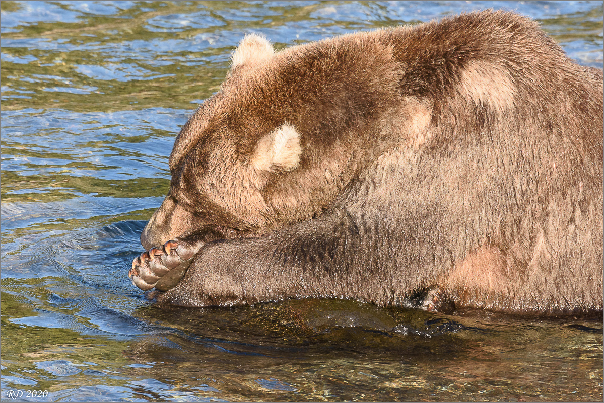 Alaska_2018-2654.jpg