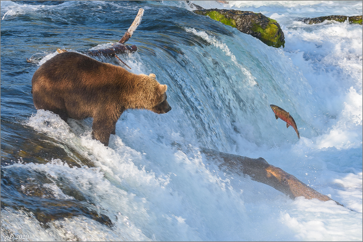 Alaska_2018-2664.jpg