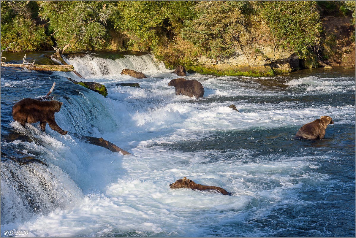Alaska_2018-2690.jpg