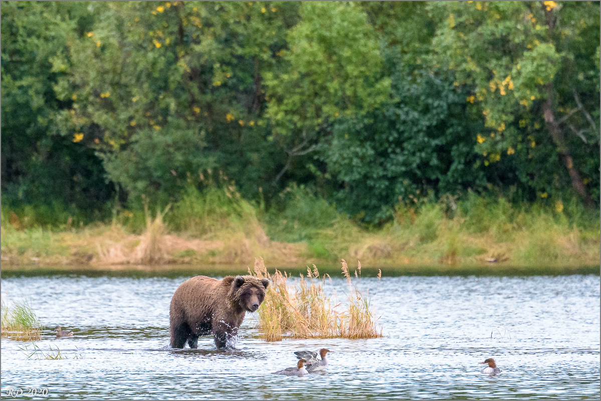 Alaska_2018-2756.jpg