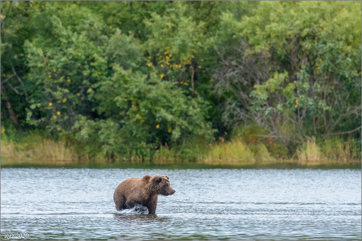 Alaska_2018-2757.jpg