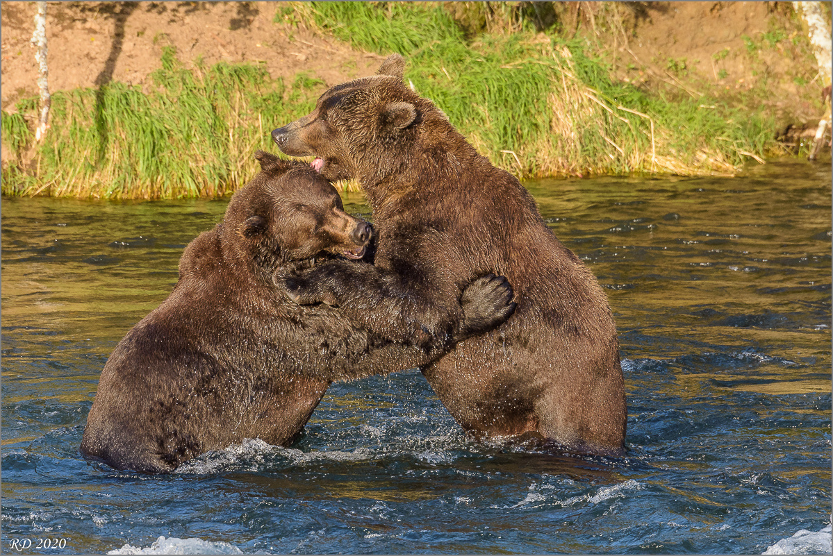 Alaska_2018-2769.jpg