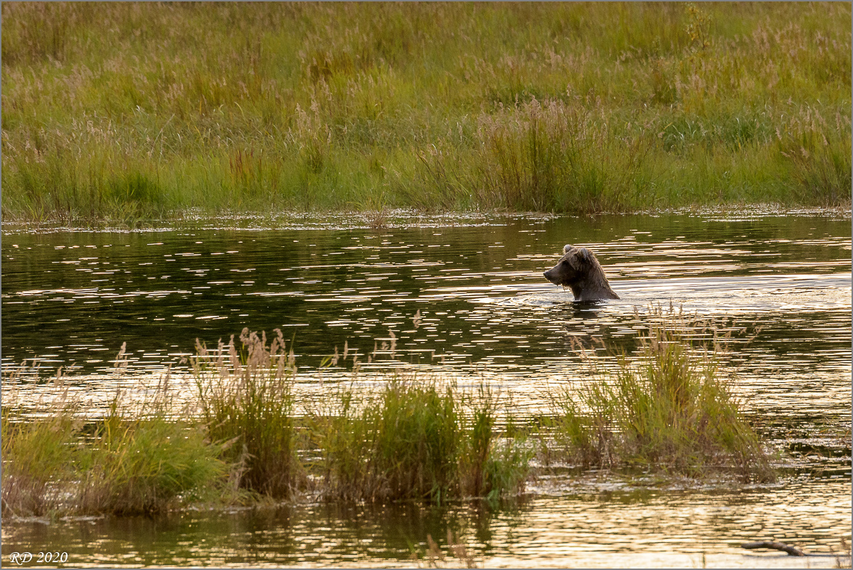 Alaska_2018-2778.jpg