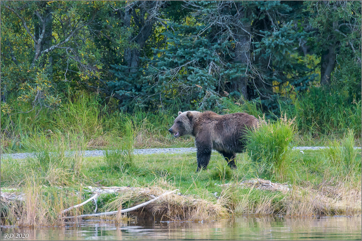 Alaska_2018-2786.jpg